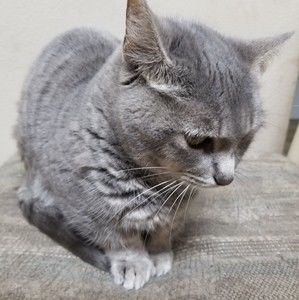 Meet your Posher, Tyler